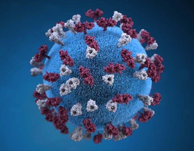 Ein Virus - Photo von CDC auf Unsplash