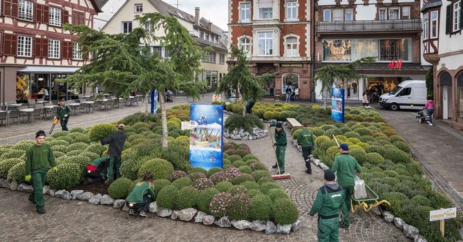 Die Europa-Park Gärtner bei der Fertigstellung des Beetes. Bild: Europa-Park