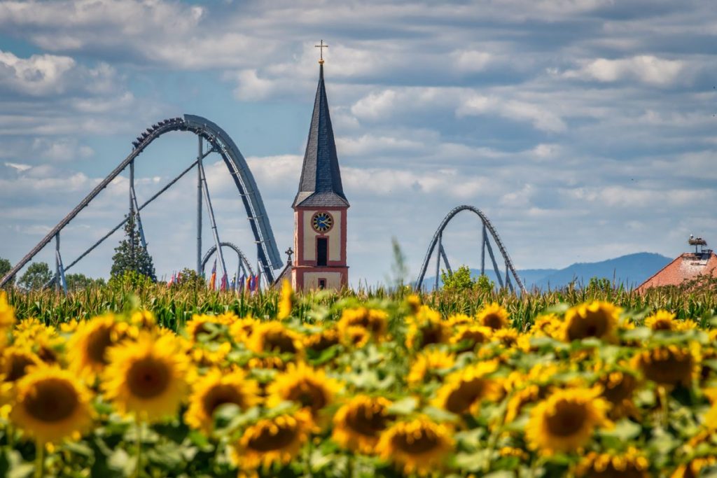Perfektes Sommermotiv - Sonnenblumen, die Stahlachterbahn Silver Star und der Kirchturm der Gemeinde Rust. Bild: Europa-Park